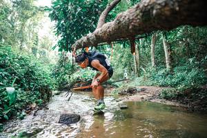 BIB: 
                            <button type="button" onclick="openModal(25369199)" class="btn btn-primary btn-sm float-right btn-popup" data-toggle="modal" data-target=".modal-high-quality">
                        <i class="fas fa-shopping-cart"></i> Add to Cart
                    </button>
                                            <button type="button" onclick="isThisMe(25369199, true)" class="btn btn-success btn-sm float-right btn-popup btn-isme hidden" data-toggle="tooltip" data-placement="bottom" title="นี่คือรูปของคุณใช่ไหม คลิกที่นี่เพื่อเอาเข้าอัลบั้ม">
                        <i class="fas fa-plus"></i> Add to album
                    </button>
                    <button type="button" onclick="isThisMe(25369199, false)" class="btn btn-warning btn-sm float-right btn-popup btn-isnotme hidden">
                        <i class="fas fa-ban"></i> Remove from album
                    </button>